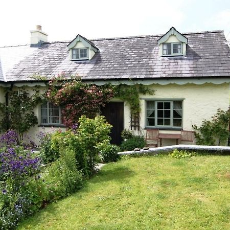 Parc Y Brenin Vila Dryslwyn Exterior foto