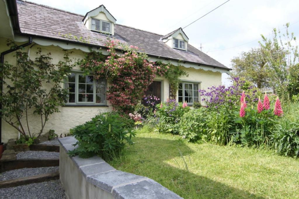 Parc Y Brenin Vila Dryslwyn Exterior foto