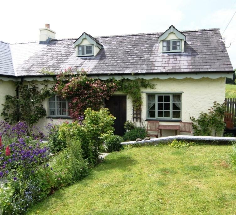 Parc Y Brenin Vila Dryslwyn Exterior foto